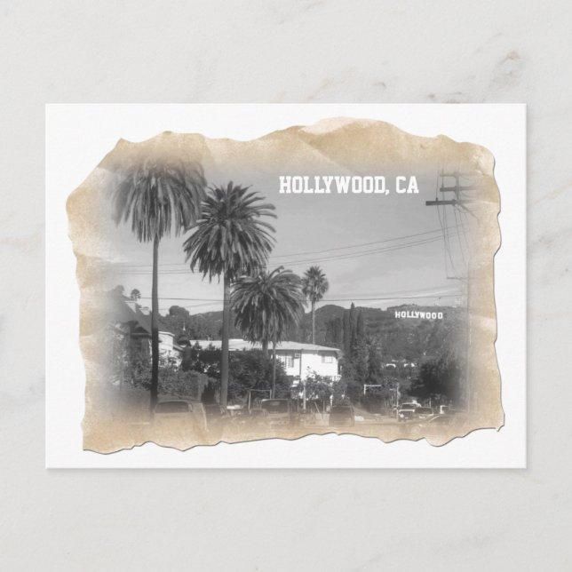 Beautiful Hollywood Postcard! Postcard (Front)