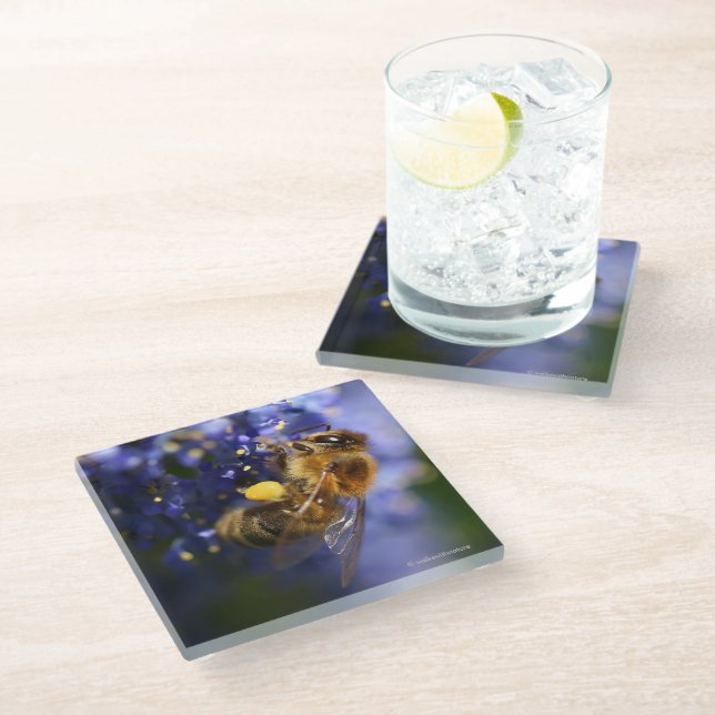 Beautiful Honeybee on the California Lilac Glass Coaster (Angled)