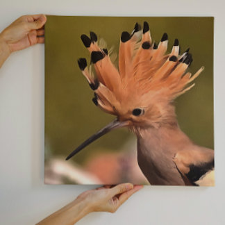 Beautiful Hoopoe Bird With Crown Of Feathers Canvas Print