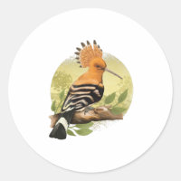 Beautiful Hoopoe For Ornithologists