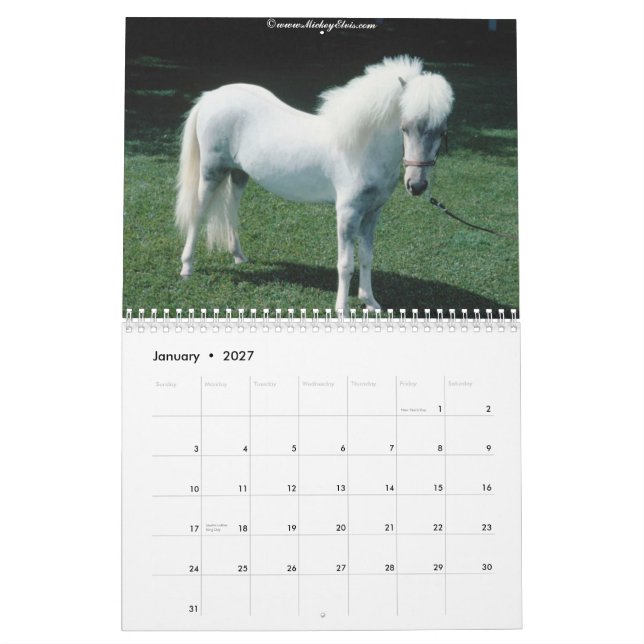 Beautiful Horse 2010 Calendar (Jan 2027)