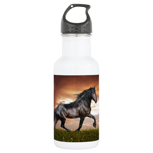 Beautiful Horse 532 Ml Water Bottle (Front)
