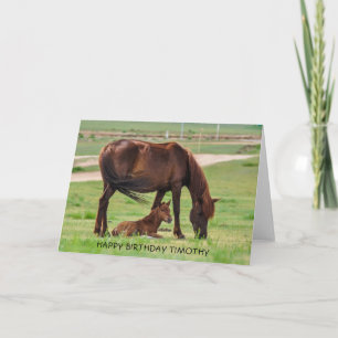 Beautiful Horse and Foal in a Pasture Card