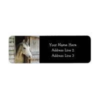Beautiful Horse and Rustic Barn