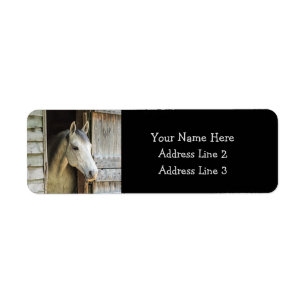 Beautiful Horse and Rustic Barn
