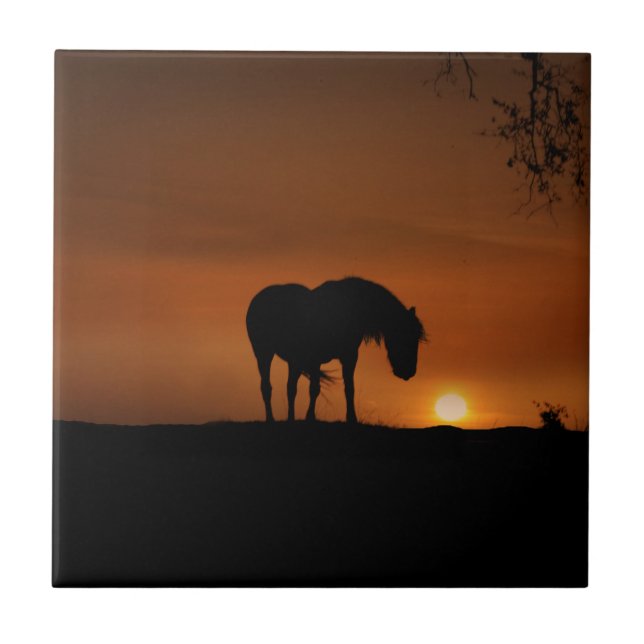 Beautiful Horse and Southwestern Sunset Tile (Front)