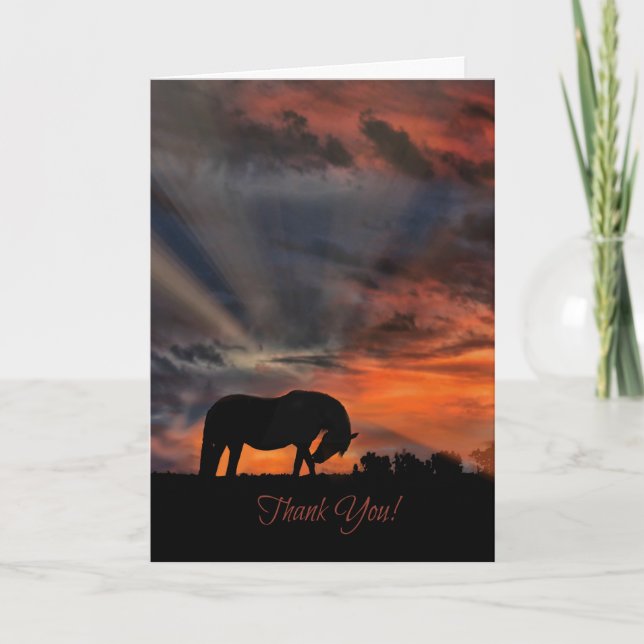 Beautiful Horse and Sunrise Thank You Cards (Front)