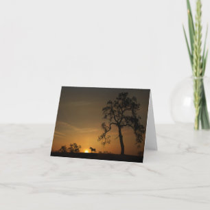 Beautiful Horse and Sunset Note Card