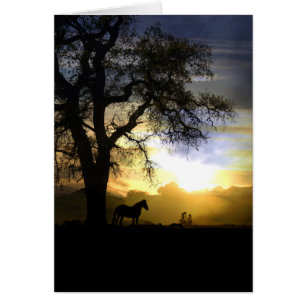 Beautiful Horse and Sunset Thinking of You Card