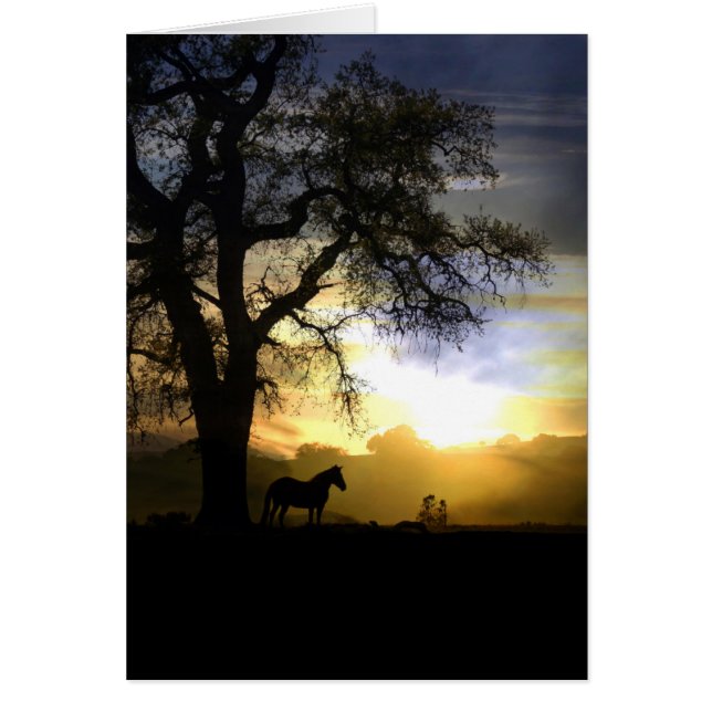 Beautiful Horse and Sunset Thinking of You Card (Front)