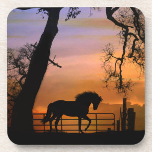 Beautiful Horse Art Coasters