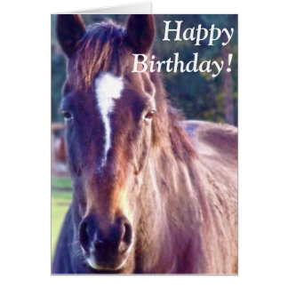 Horse Birthday Cards & Invitations | Zazzle.co.uk