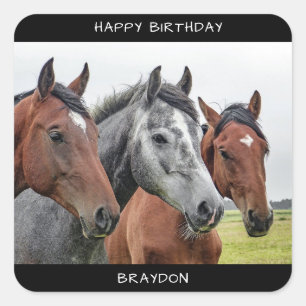 Beautiful Horse Birthday Square Sticker