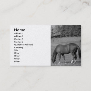 Beautiful Horse Business Card