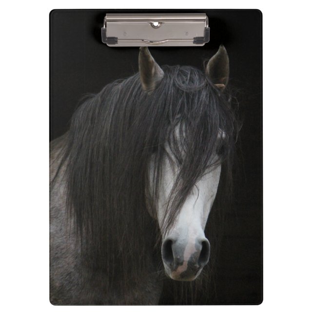 Beautiful Horse Clipboard (Front)