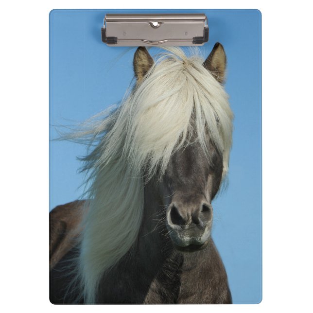 Beautiful Horse Clipboard (Front)