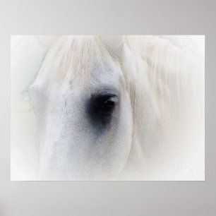 Beautiful Horse Eye Poster