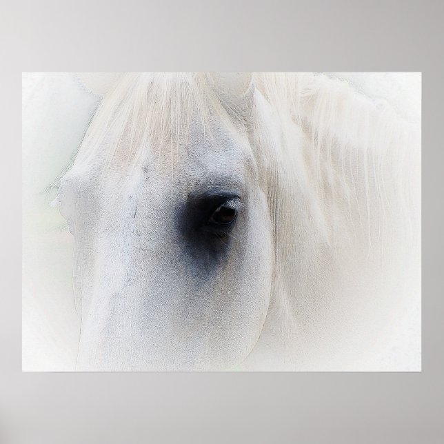 Beautiful Horse Eye Poster (Front)