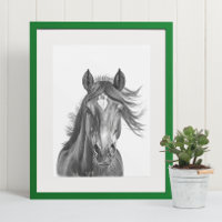 Beautiful Horse Head Portrait  Black white   