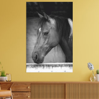 Beautiful Horse in Barn Black and White Canvas Print
