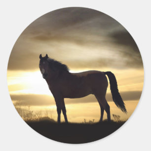 Beautiful Horse in Golden Sunset Stickers