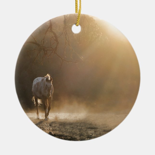 Beautiful Horse in Sunlight Gifts Ceramic Tree Decoration (Front)