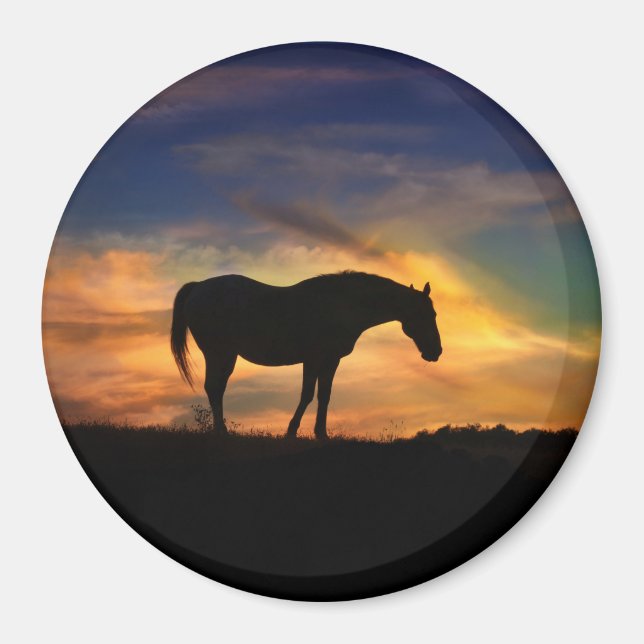 Beautiful Horse in Sunset Art Magnet (Front)