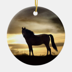 Beautiful Horse in the Sunlight Ornament