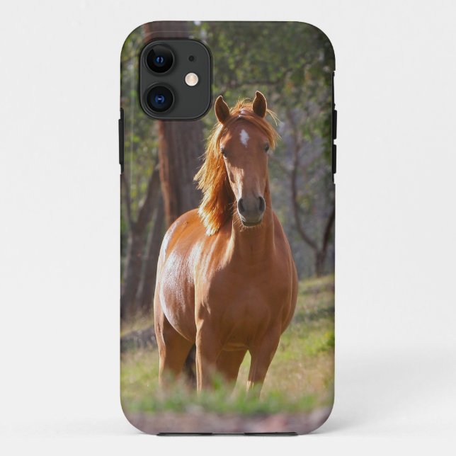 Beautiful Horse iPhone 5 Case for Horse Lovers (Back)