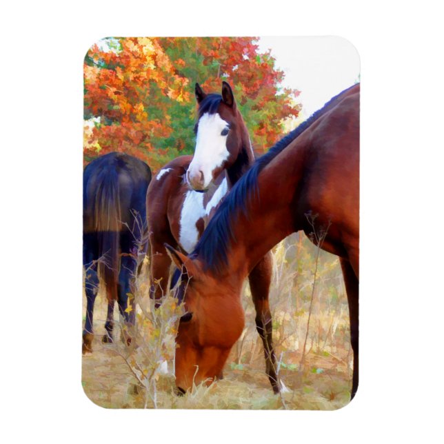 Beautiful Horse Magnets (Vertical)