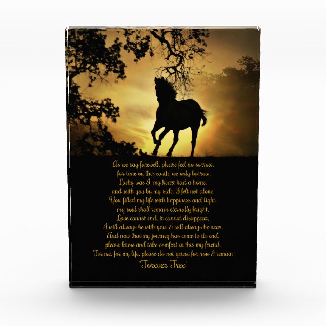 Beautiful Horse Memorial Tribute Photo Block (Front)