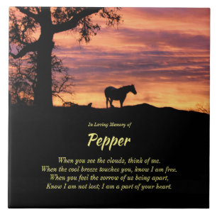 Beautiful Horse Memorial with Spiritual Poem Ceram Tile