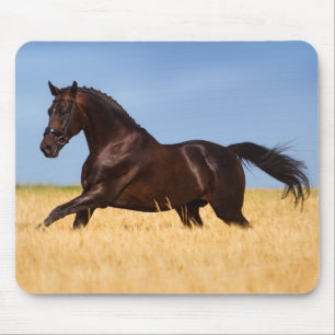 Beautiful Horse Mouse Mat