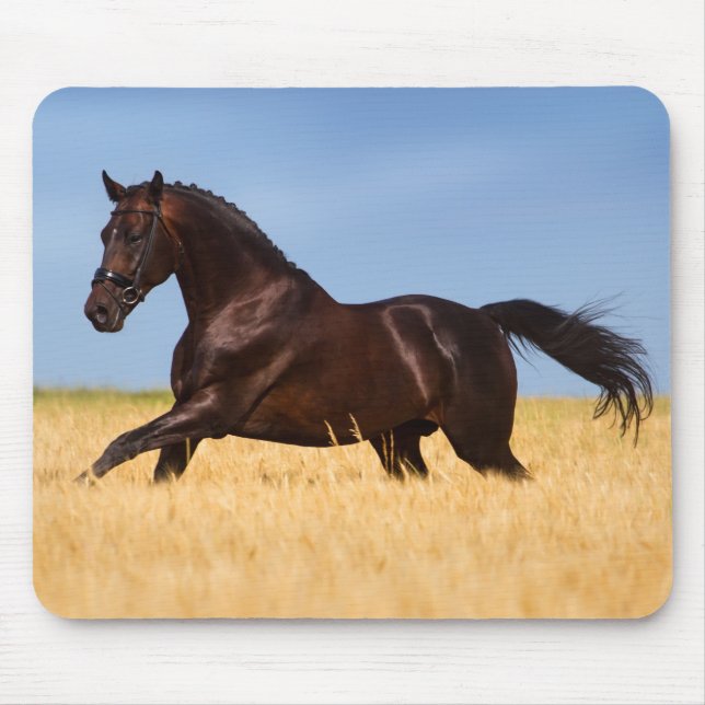 Beautiful Horse Mouse Mat (Front)