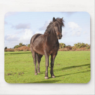 Beautiful Horse Mouse Mat