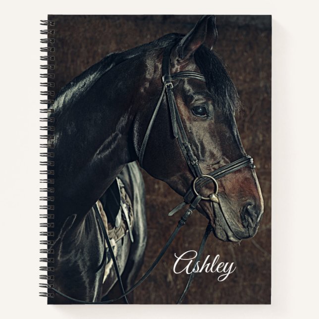 Beautiful Horse Notebook (Front)