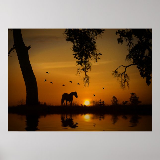 Beautiful Horse on a Golden Pond with Birds Poster (Front)