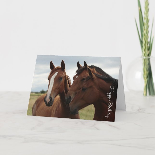 Beautiful Horse Personalised Birthday Card (Front)