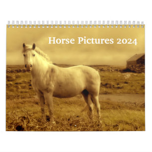 Beautiful Horse Pictures Images 2024 Calendar