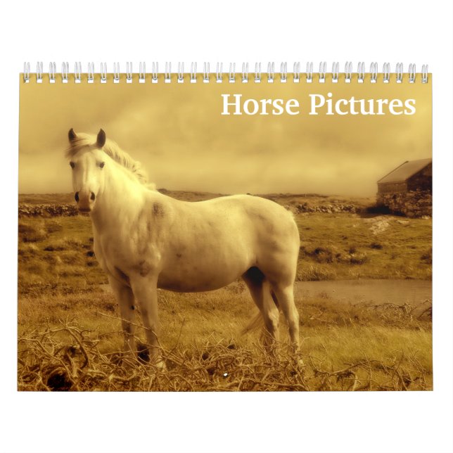 Beautiful Horse Pictures Images 2025 Calendar (Cover)