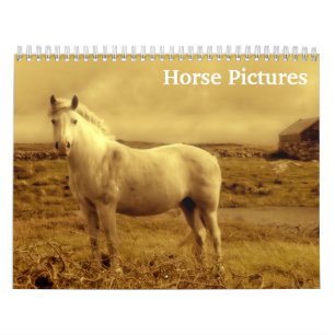 Beautiful Horse Pictures Images 2025 Calendar