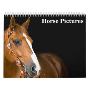 Beautiful Horse Pictures Images 2027 Calendar