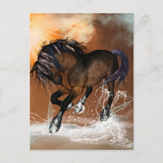 Beautiful horse postcard (Front)