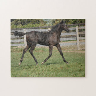 Beautiful Horse Prancing Jigsaw Puzzle