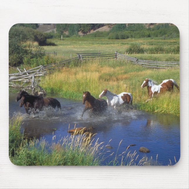 Beautiful Horse Ranch Destiny Nature Mouse Mat (Front)