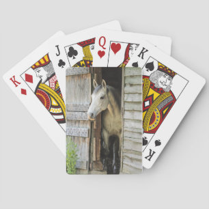 Beautiful Horse Rustic Farm Scene Playing Cards