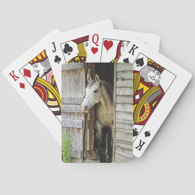 Beautiful Horse Rustic Farm Scene Playing Cards (Back)