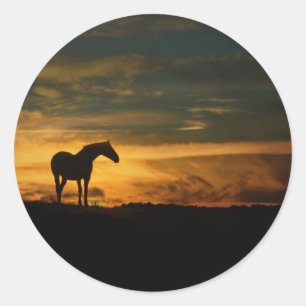 Beautiful Horse Silhouetted Classic Round Sticker