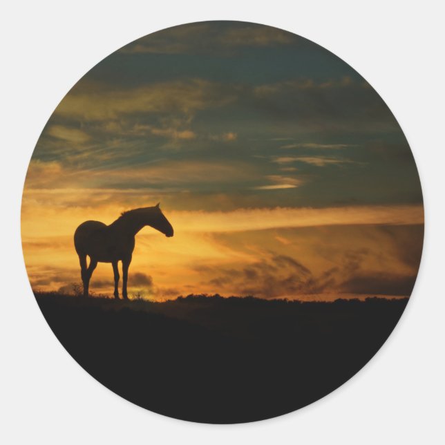 Beautiful Horse Silhouetted Classic Round Sticker (Front)