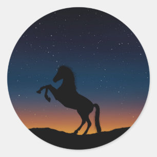 BEAUTIFUL HORSE STALLION CLASSIC ROUND STICKER